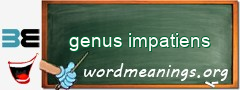 WordMeaning blackboard for genus impatiens